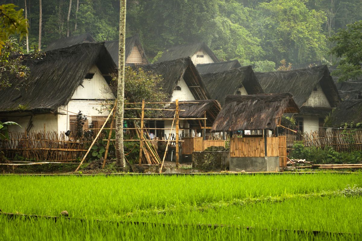 Pemandangan Desa Pesuloang